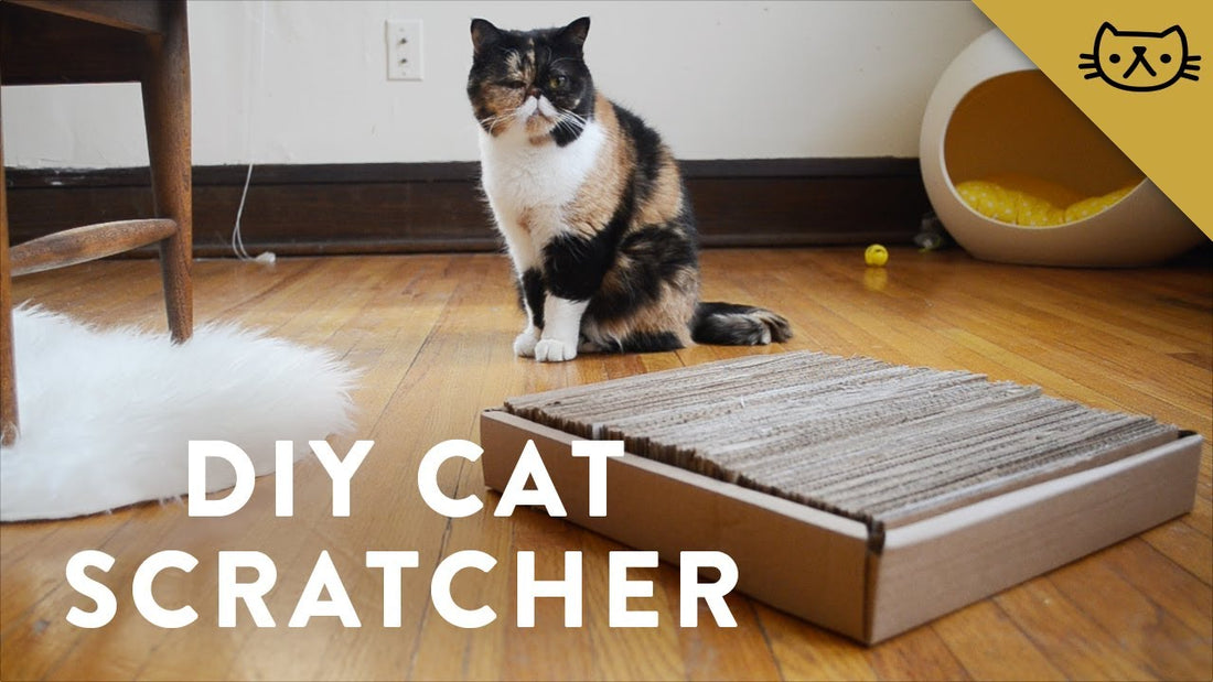 How To Make A Cardboard Cat Scratcher