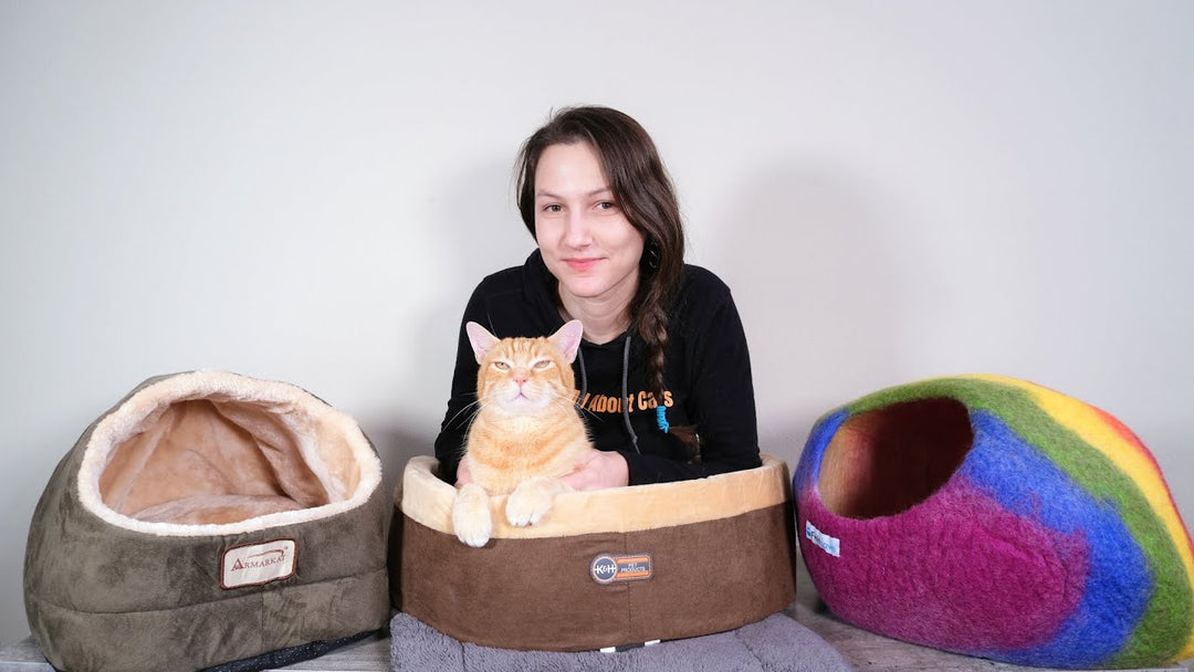 Do Cats Like Cat Caves?