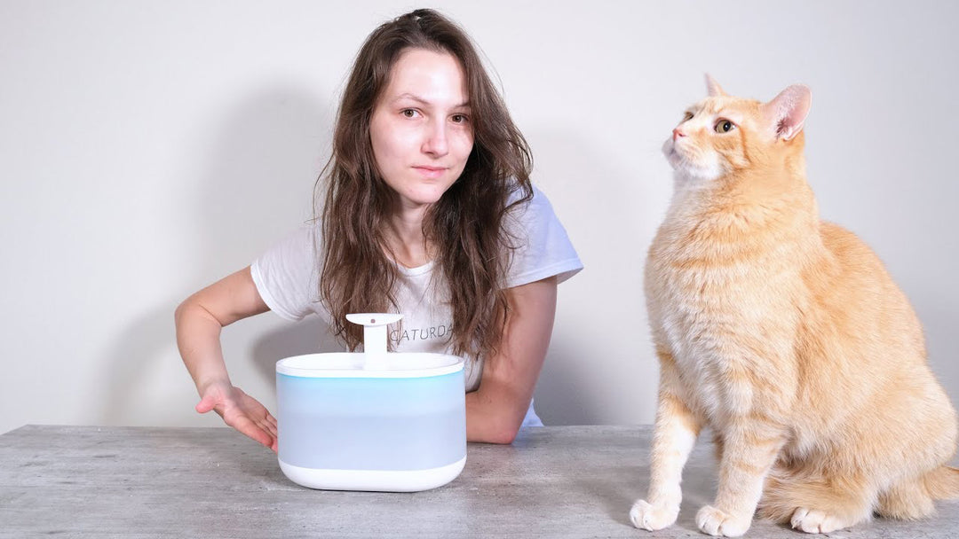 Do cats like water fountains?