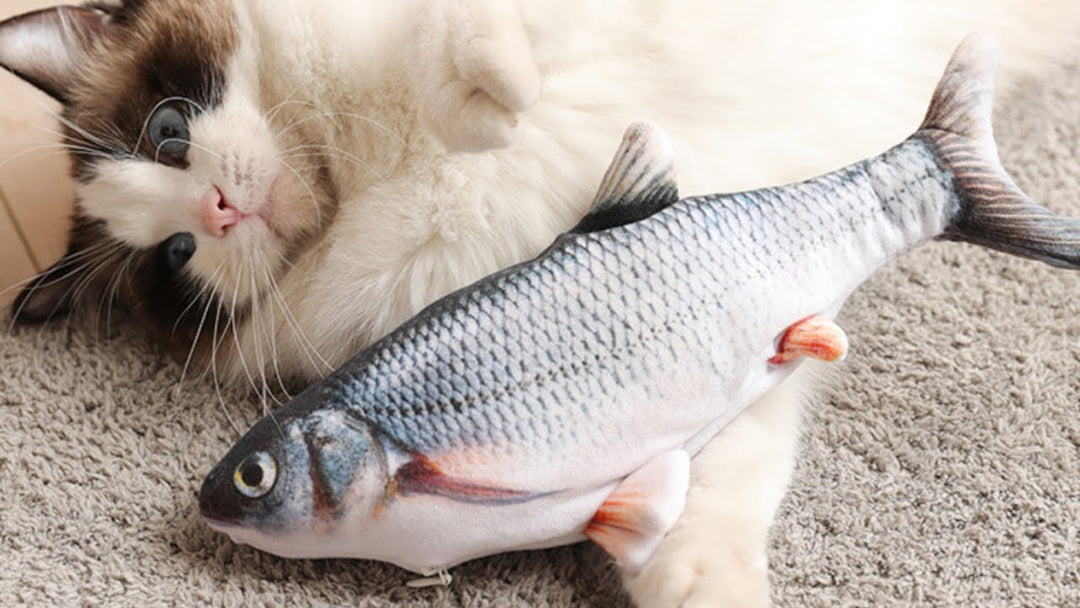 What is floppy fish cat toy? Do cats like it?