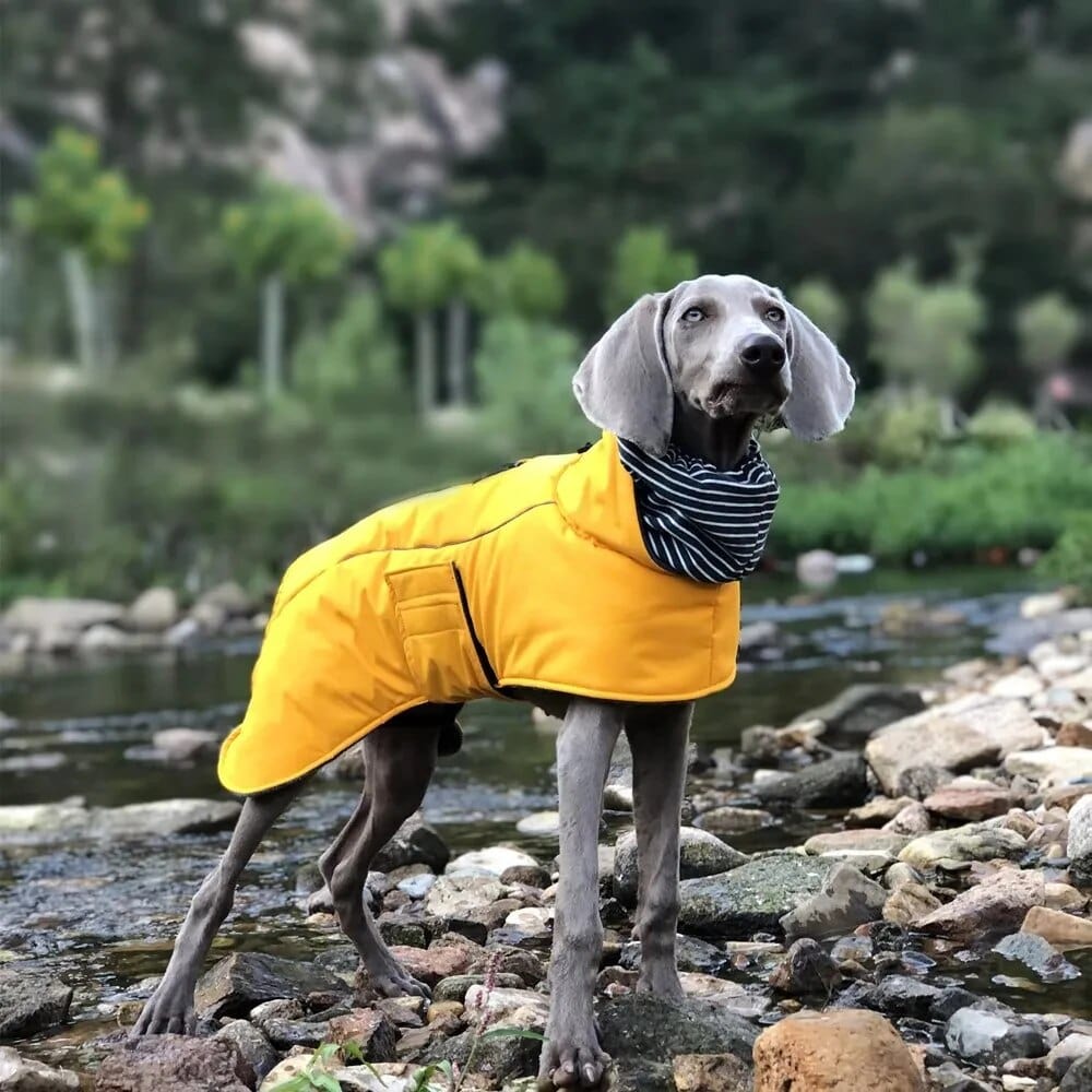 Dog Fleece Winter Jacket Reflective Fleece Lining Vest ZOOBERS