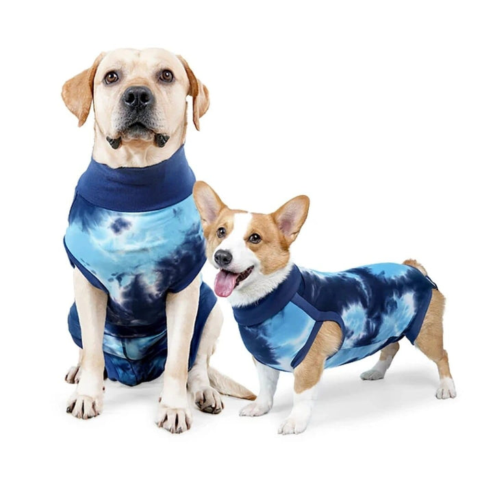 Dog Onesie Recovery Suit Blue / XS ZOOBERS
