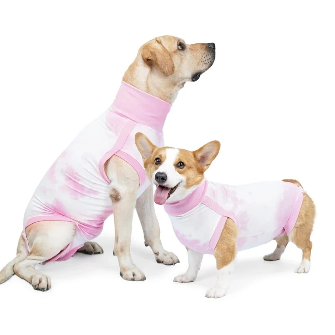 Dog Onesie Recovery Suit Pink / XS ZOOBERS