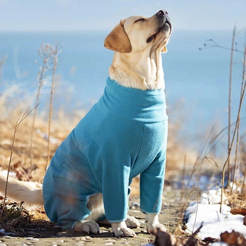 Dog Winter Coat Soft Fleece Pullover Pajamas Lake Blue / XS ZOOBERS