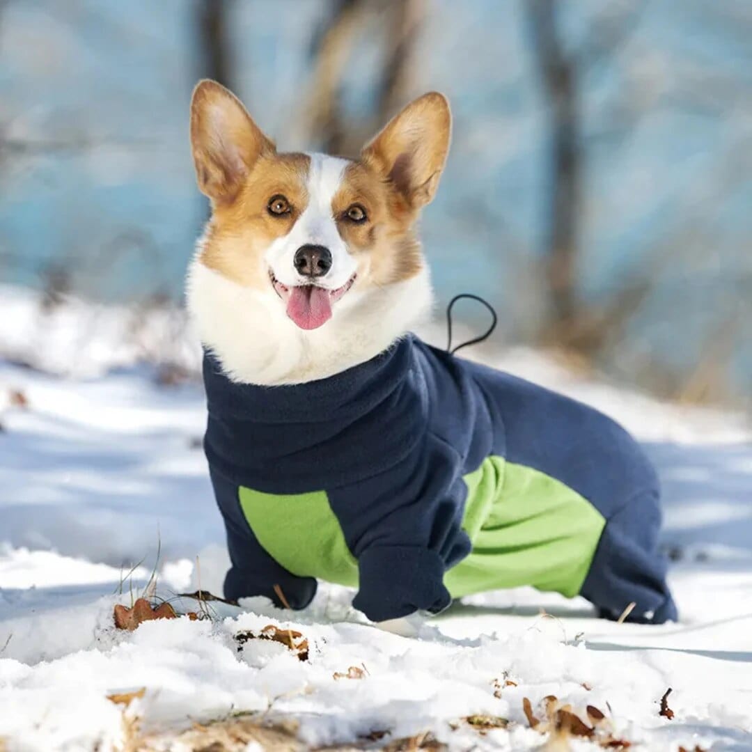 Dog Winter Coat Soft Fleece Pullover Pajamas ZOOBERS