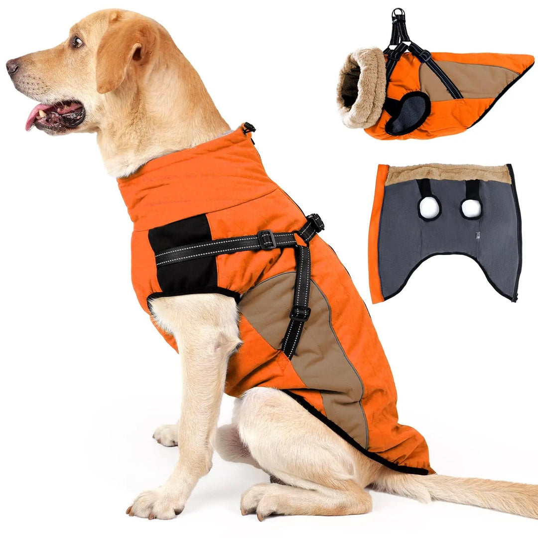 Dog Winter Coat with Harness Built in Orange / S ZOOBERS