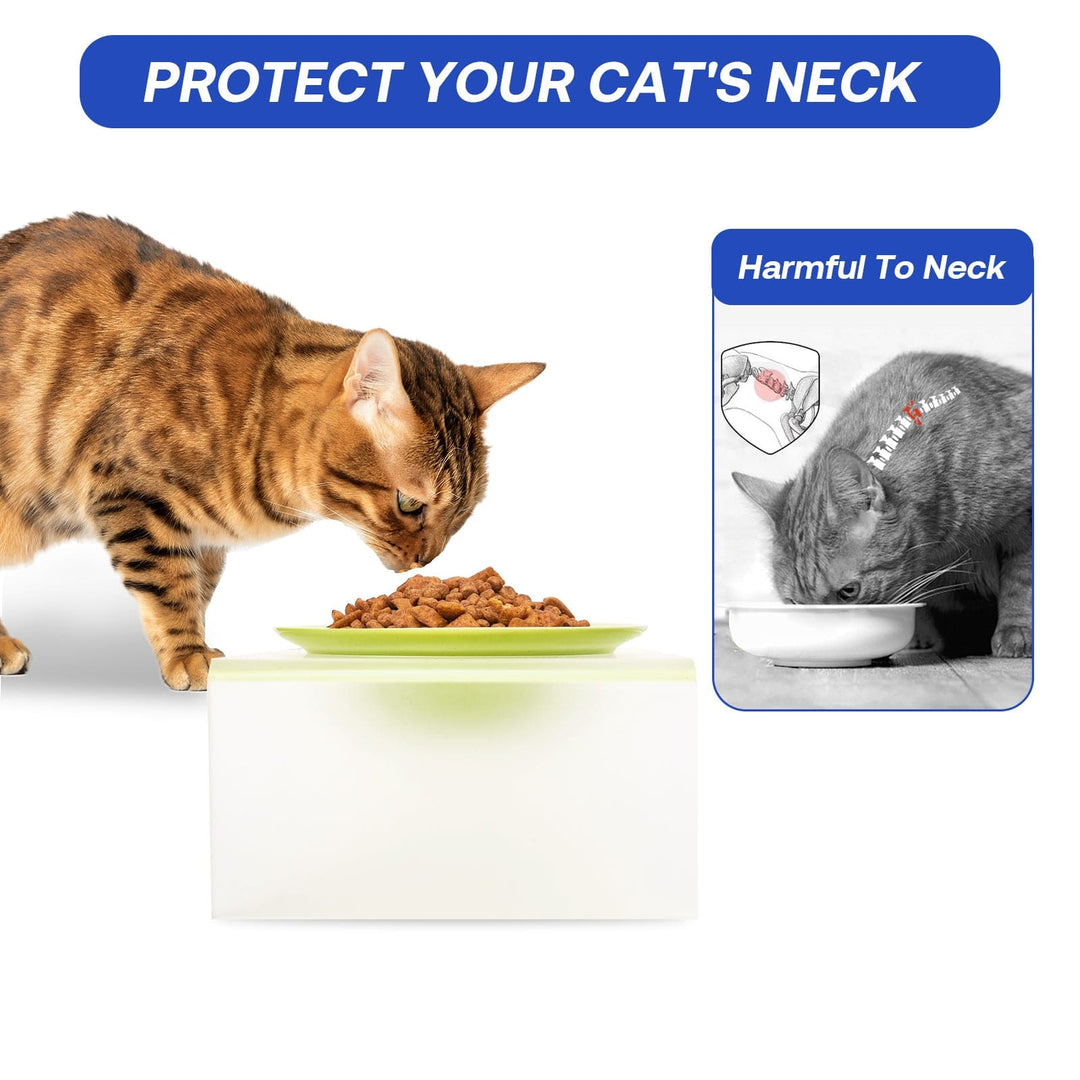 Elevated Cat Bowl- Frosted Acrylic Stand ZOOBERS