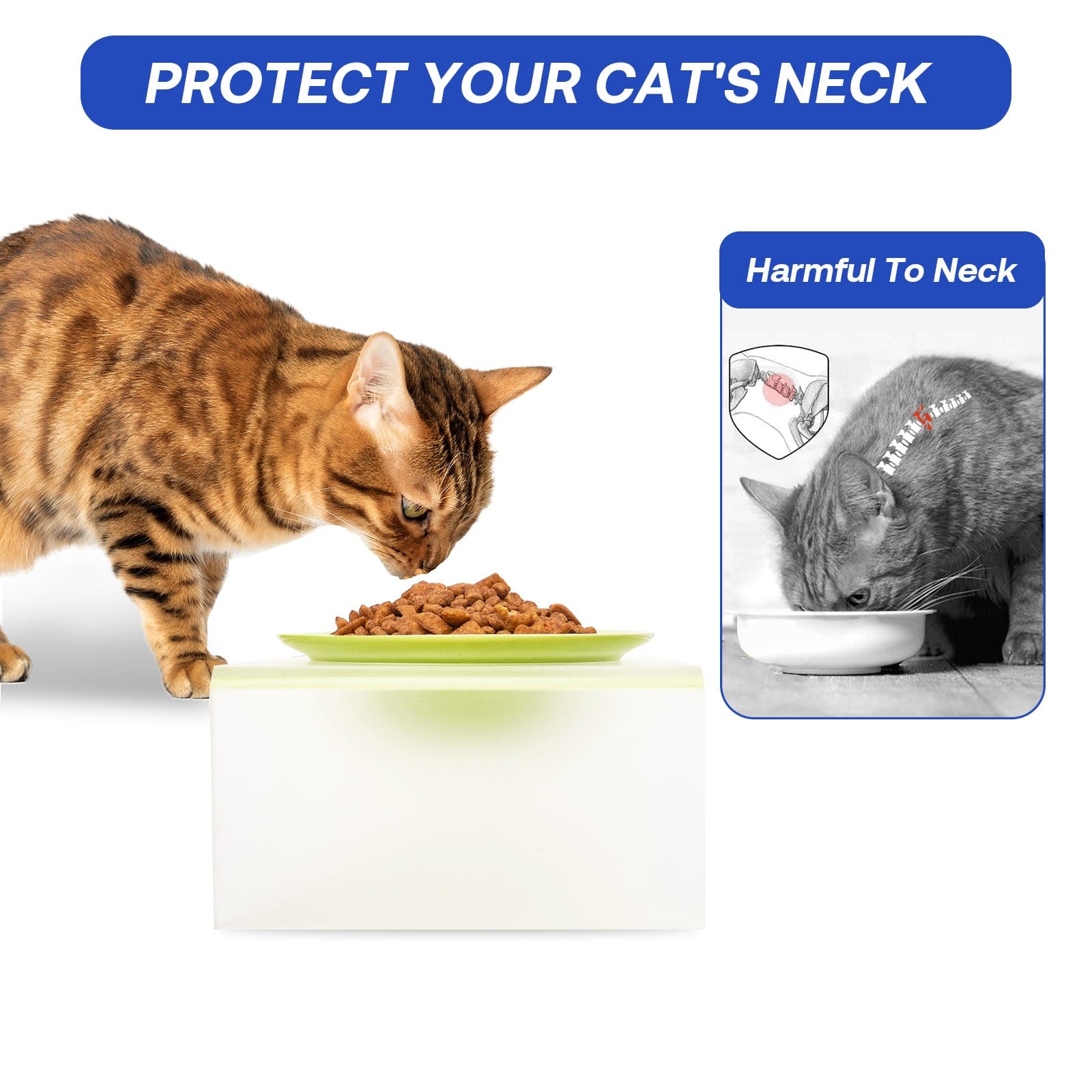 Elevated Cat Bowl- Frosted Acrylic Stand ZOOBERS
