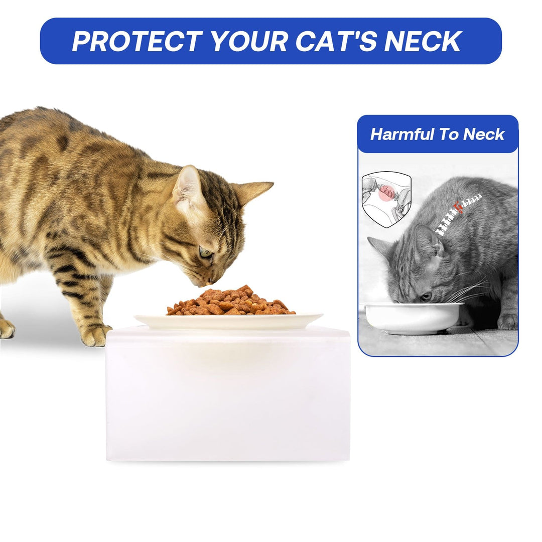 Elevated Cat Bowl- Frosted Acrylic Stand ZOOBERS