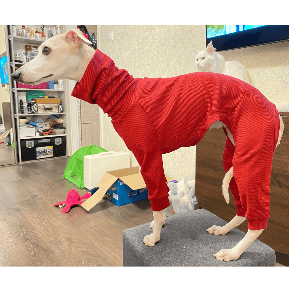 Full Suit Turtleneck Greyhound Thin Sweater [For Small/Medium/Large Dog] ZOOBERS