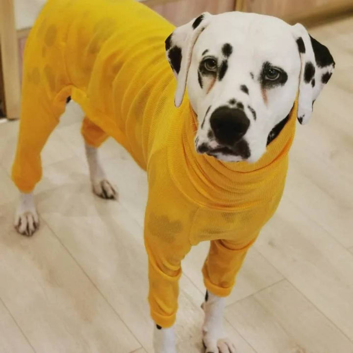 Full Suit Turtleneck Greyhound Thin Sweater [For Small/Medium/Large Dog] ZOOBERS