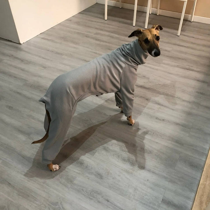 Full Suit Turtleneck Greyhound Thin Sweater [For Small/Medium/Large Dog] ZOOBERS