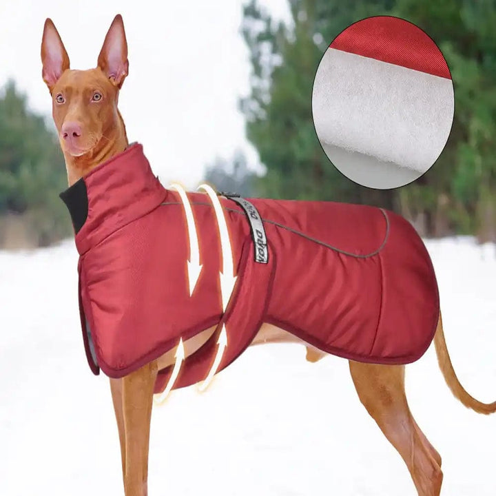 Waterproof Big Dog Jacket Dog Snow Jacket ZOOBERS