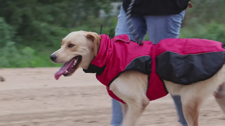 Sporty Vest Jacket With Reflective Rope [For Large Dog]