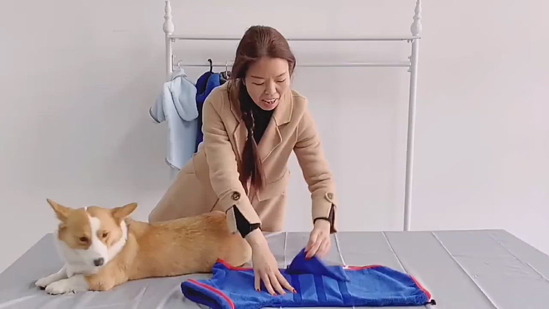 Dog Drying Moisture Absorbing Towels Coat