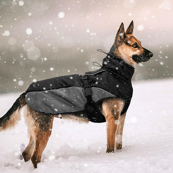 Dog Vest Jacket With Reflective Rope LawrenceMarket