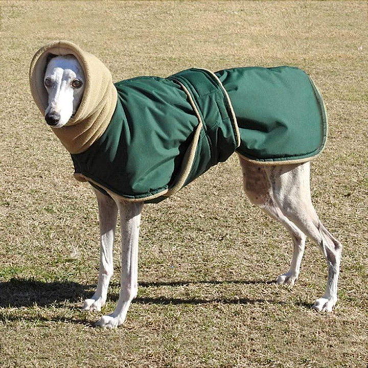 Greyhound Cosy Fleece Jumper-For Medium Large Dogs LawrenceMarket