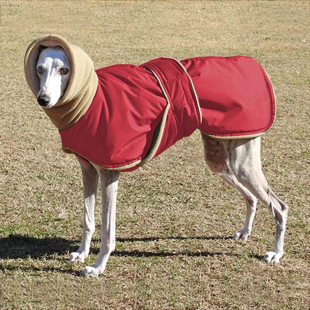 Greyhound Cosy Fleece Jumper-For Medium Large Dogs LawrenceMarket