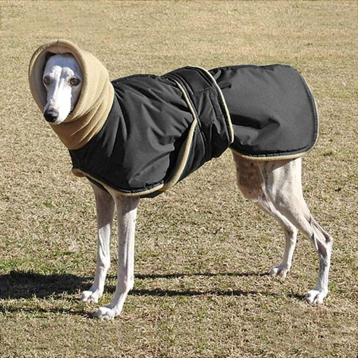 Greyhound Cosy Fleece Jumper-For Medium Large Dogs LawrenceMarket