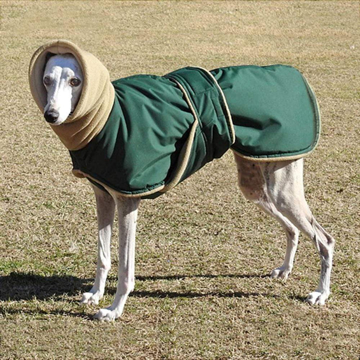 Greyhound Cozy Fleece Jumper[For Medium/Large Dogs] LawrenceMarket