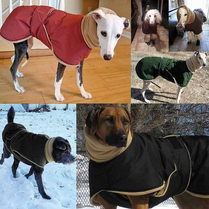 Greyhound Cozy Fleece Jumper[For Medium/Large Dogs] LawrenceMarket