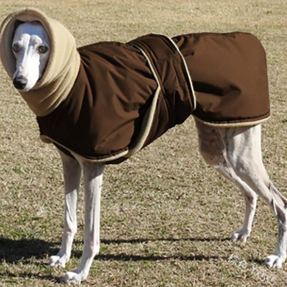 Greyhound Cozy Fleece Jumper With Turtleneck Scarf [For Medium/Large Dog] LawrenceMarket