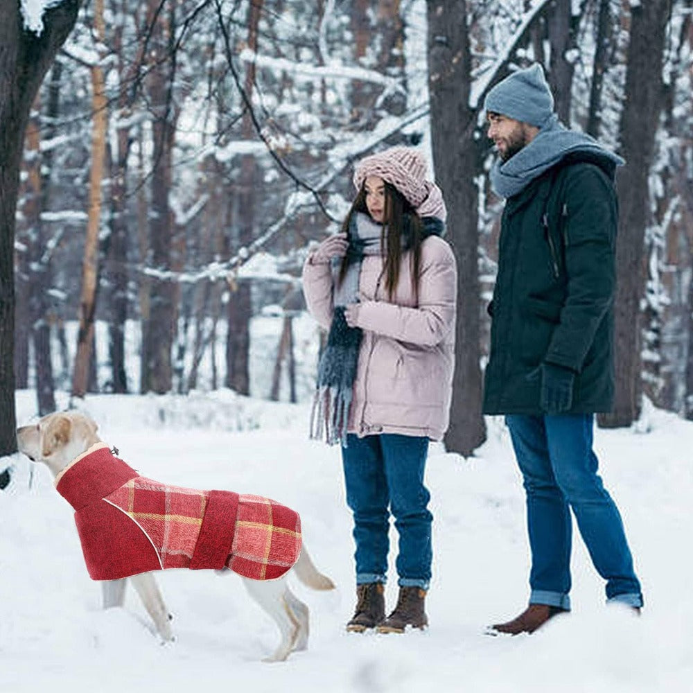 Greyhound Thick Fleece Lining Thermal Jacket[For Medium/Large Dog] LawrenceMarket