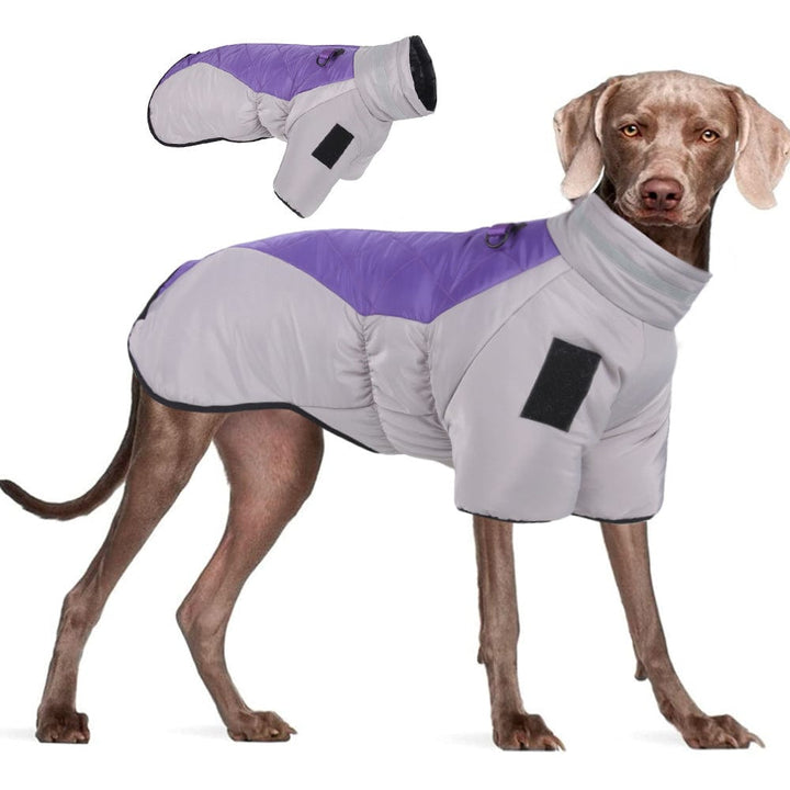 New Upgraded Dog Waterproof Jacket With Leash [For Large Dog] LawrenceMarket
